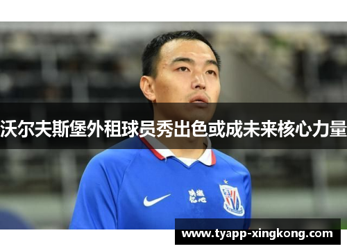 沃尔夫斯堡外租球员秀出色或成未来核心力量